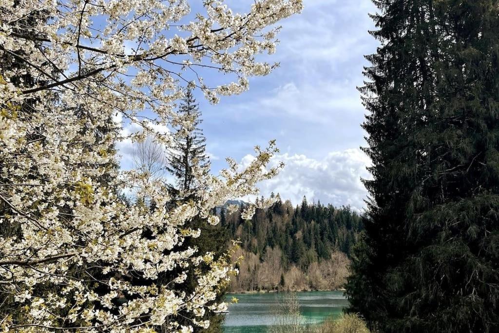 Wohnung Mit Fantastischer Aussicht Trin Buitenkant foto